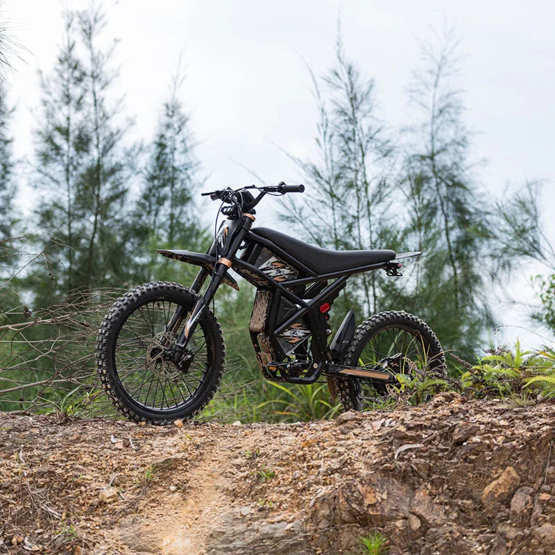 STLF Ridingtimes GT73PRO 20 Rear Wheel Electric Motocross Dirt Bike with High Motor for Off-Road Riding