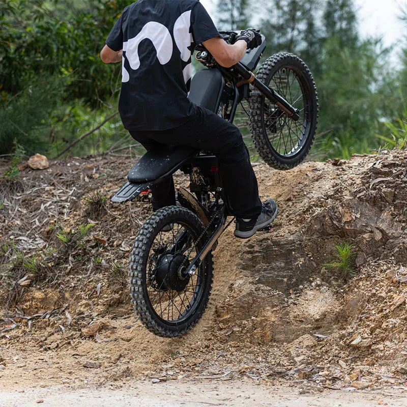 STLF Ridingtimes GT73PRO 20 Rear Wheel Electric Motocross Dirt Bike with High Motor for Off-Road Riding