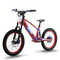 RFN Racing 20 Electric Dirt Bike For Kids-800W Jump Bike With Lightweight Aluminum Frame 24.2-Mile Range for Ages 12+