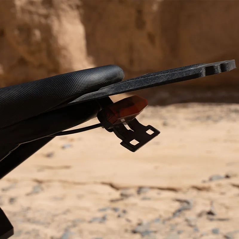 STLF Ridingtimes New Design GT54  for US 2000W for EU 250W 48V Electric Mountain Tires Dike Ebike