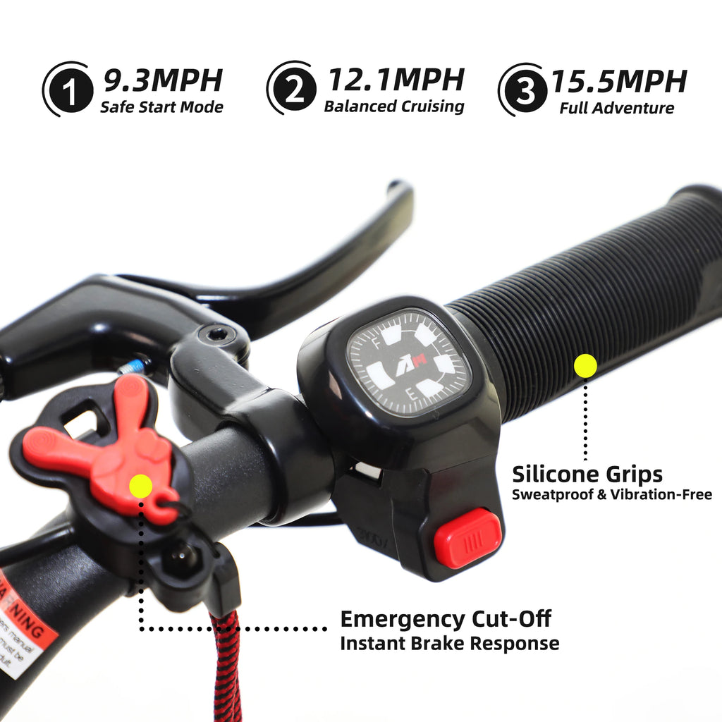 RFN Racing Electric Dirt Bike For Kids - Lightweight Aluminum Frame Electric Bike-15.5 mph Speed, 13.7-Mile Range for Ages 4-8