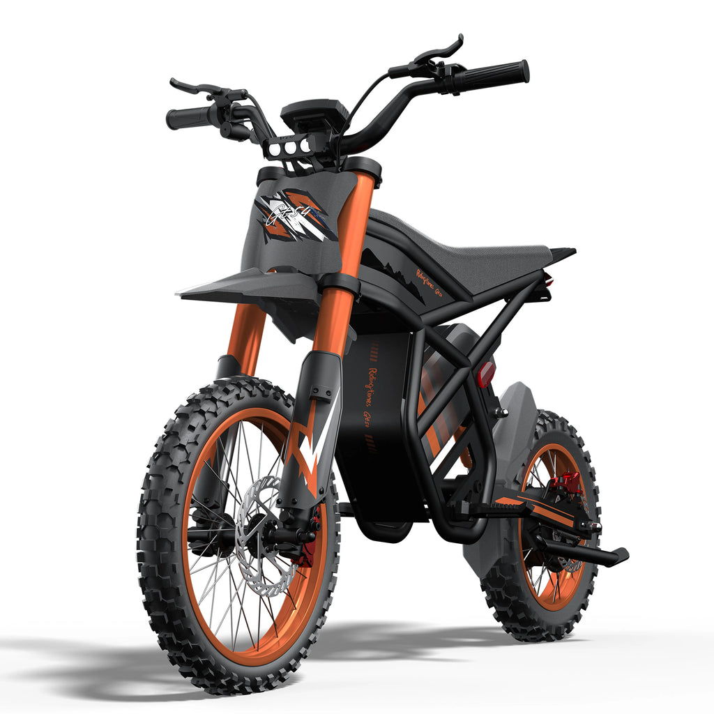 STLF Ridingtimes New Design GT54  for US 2000W for EU 250W 48V Electric Mountain Tires Dike Ebike